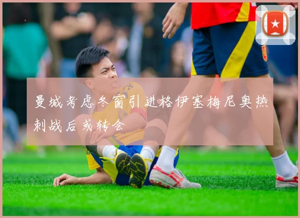 曼城考虑冬窗引进格伊塞梅尼奥热刺战后或转会