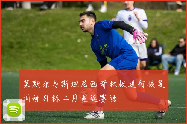 莱默尔与斯坦尼西奇积极进行恢复训练目标二月重返赛场