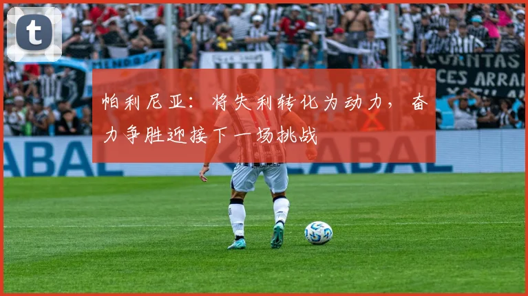 帕利尼亚：将失利转化为动力，奋力争胜迎接下一场挑战